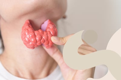 Conoscere la tiroide per prendersene cura